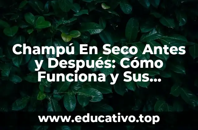 ¿Qué es el Champú En Seco?