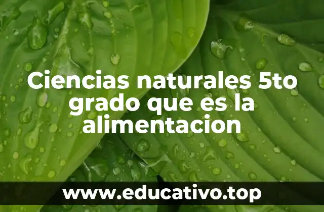 Ciencias naturales 5to grado que es la alimentacion