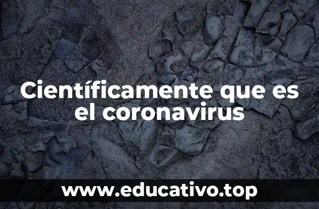 Origen y evolución del virus que causó la pandemia