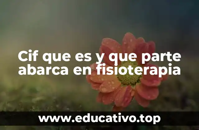 Cif que es y que parte abarca en fisioterapia