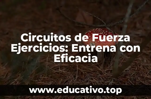 ¿Qué son los Circuitos de Fuerza Ejercicios?