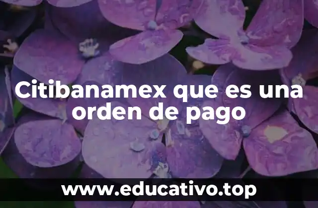 Citibanamex que es una orden de pago