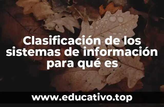 Entendiendo las funciones detrás de la clasificación de los sistemas de información