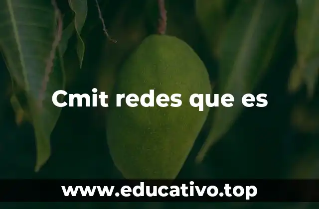 Cmit redes que es