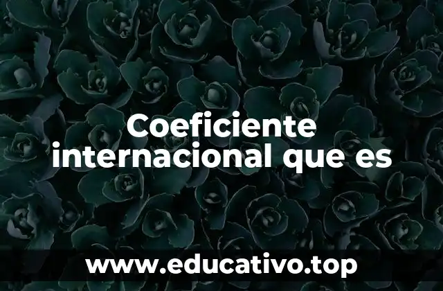 Coeficiente internacional que es