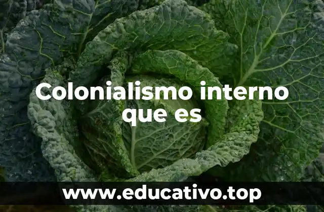 Colonialismo interno que es