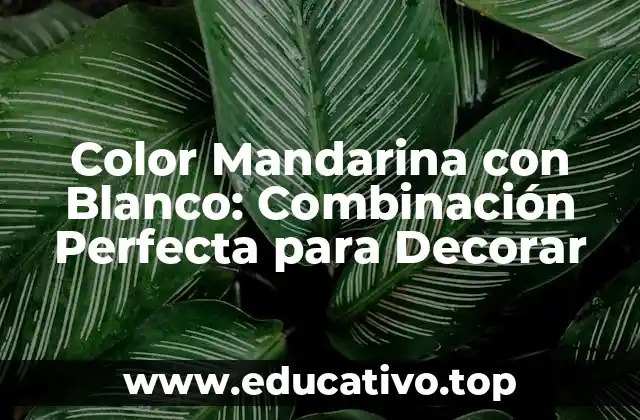 Color Mandarina con Blanco: Combinación Perfecta para Decorar