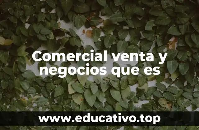 Comercial venta y negocios que es