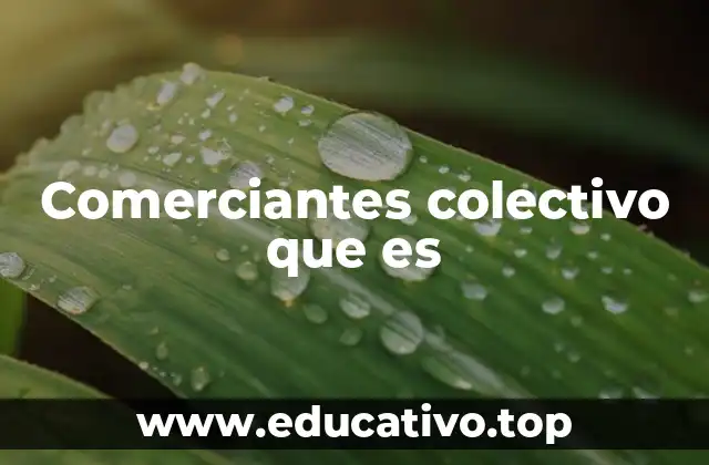 Comerciantes colectivo que es