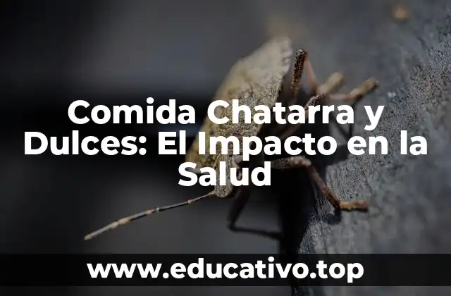 Comida Chatarra y Dulces: El Impacto en la Salud