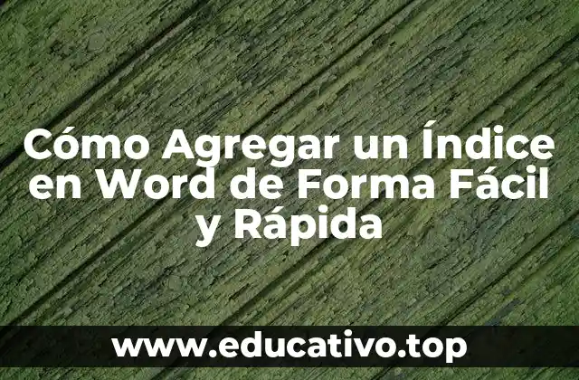 Cómo Agregar un Índice en Word de Forma Fácil y Rápida
