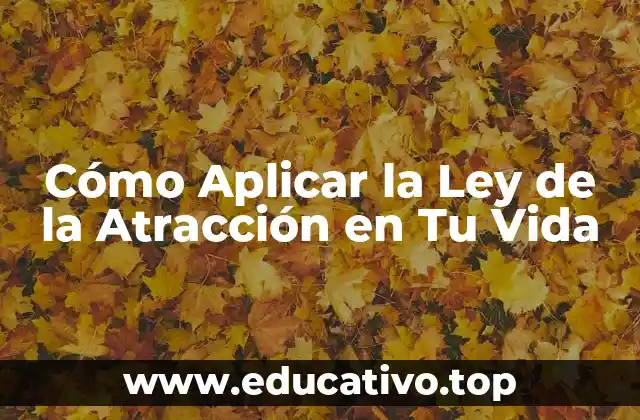 Cómo Aplicar la Ley de la Atracción en Tu Vida