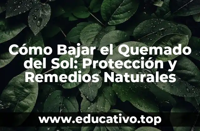 Cómo Bajar el Quemado del Sol: Protección y Remedios Naturales