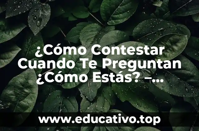 ¿Cómo Contestar Cuando Te Preguntan ¿Cómo Estás? – Respuestas Creativas y Auténticas