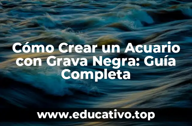 Cómo Crear un Acuario con Grava Negra: Guía Completa