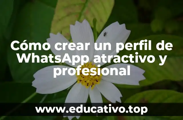 ¿Por qué es importante tener un perfil de WhatsApp profesional?