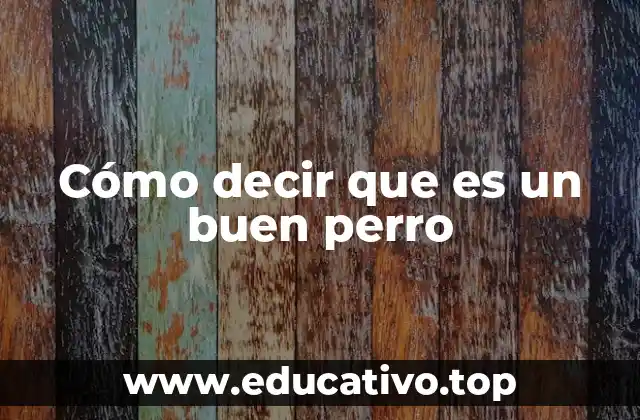 Cómo decir que es un buen perro