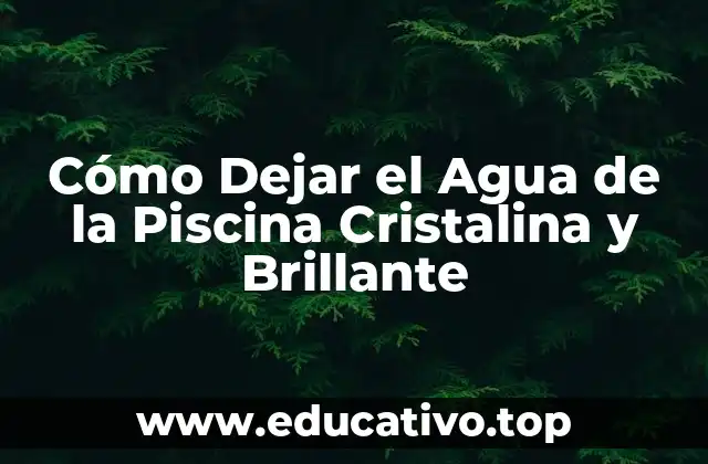 Razones para Mantener el Agua de la Piscina Cristalina