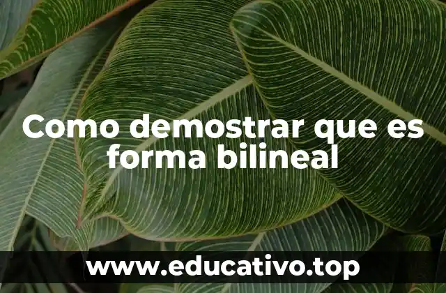 Propiedades esenciales para verificar una forma bilineal