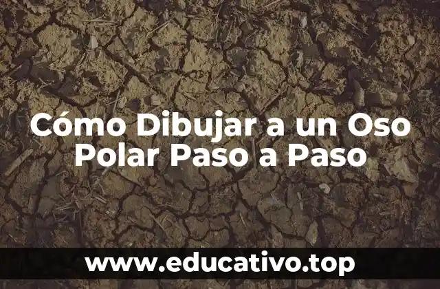 Cómo Dibujar a un Oso Polar Paso a Paso