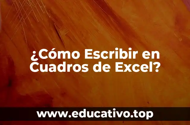 ¿Cómo Escribir en Cuadros de Excel?