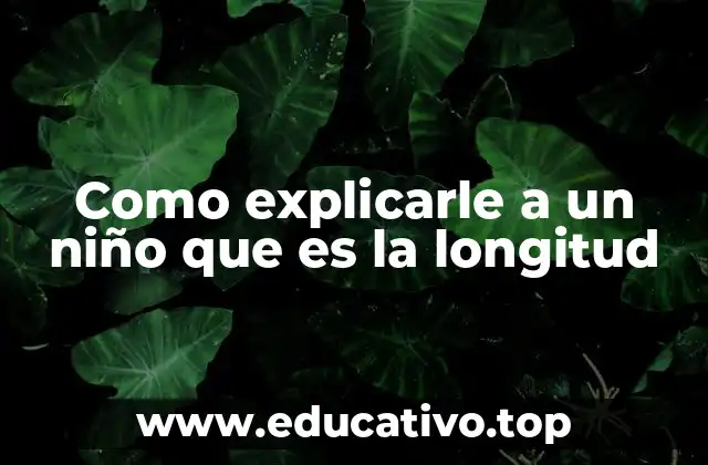 Cómo hablar de tamaño sin mencionar la palabra longitud
