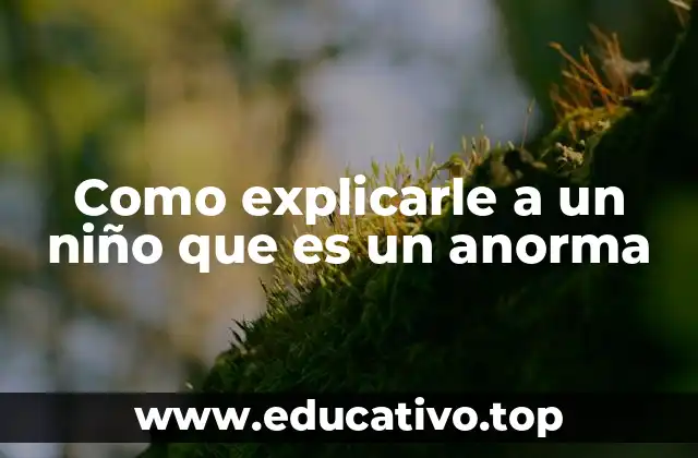 Entendiendo la diversidad sin usar términos negativos