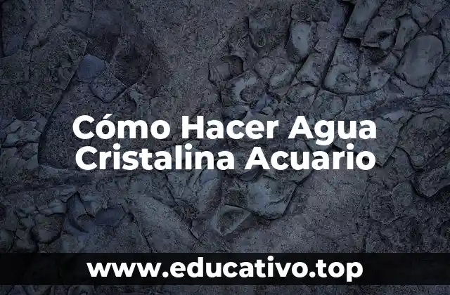 Agua Cristalina Acuario, ¿Qué es y para Qué Sirve?
