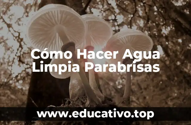 ¿Qué es Agua Limpia Parabrisas y para Qué Sirve?