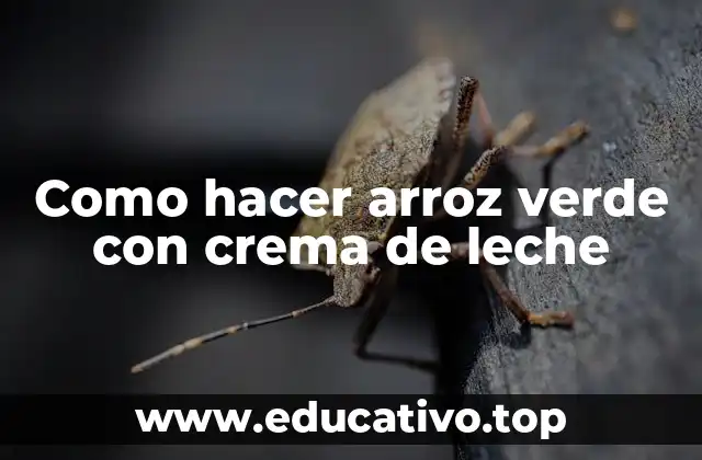 Como hacer arroz verde con crema de leche