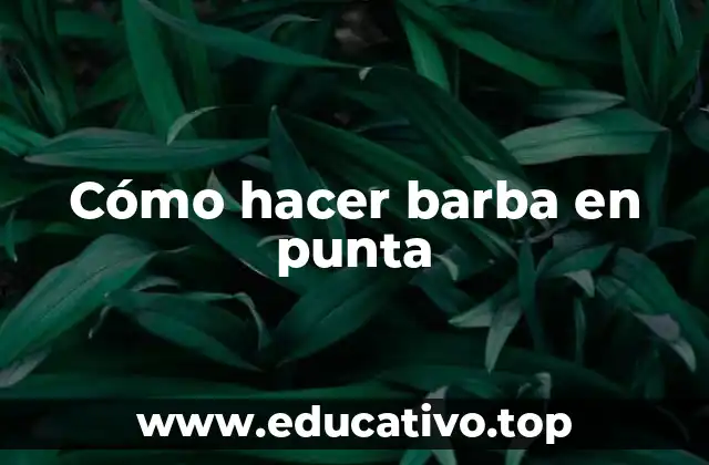 Cómo hacer barba en punta