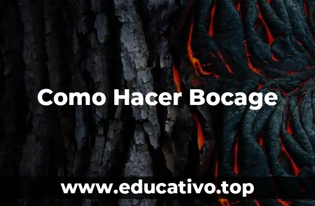 Como Hacer Bocage
