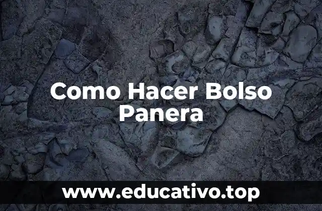 Como Hacer Bolso Panera