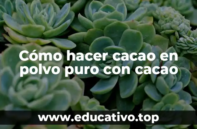 Cómo hacer cacao en polvo puro con cacao