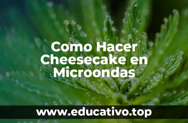 Como Hacer Cheesecake en Microondas