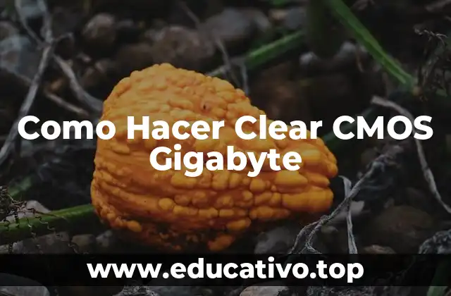 ¿Qué es Clear CMOS en una Placa Base Gigabyte?
