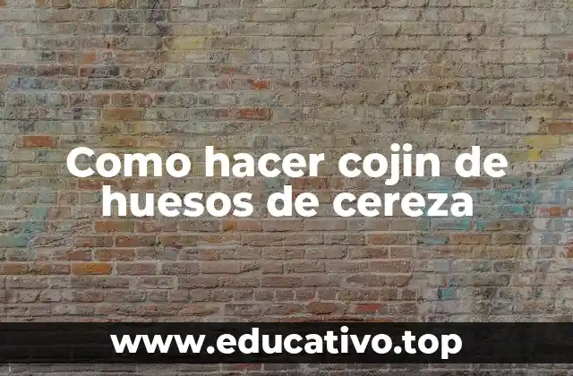 Como hacer cojin de huesos de cereza
