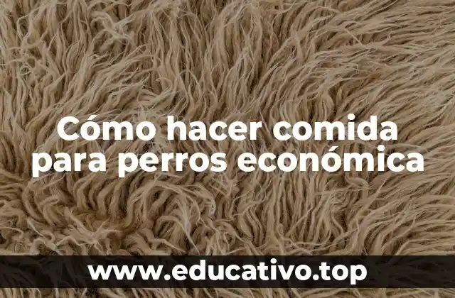 Cómo hacer comida para perros económica