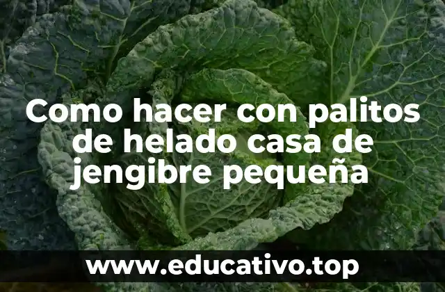 Como hacer con palitos de helado casa de jengibre pequeña