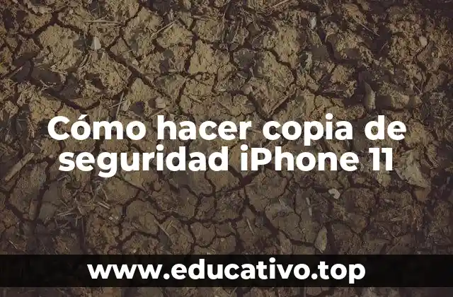 ¿Qué es una copia de seguridad de iPhone 11 y para qué sirve?