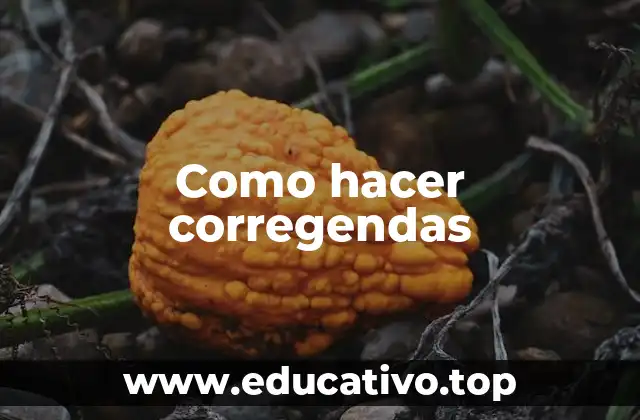 Como hacer corregendas