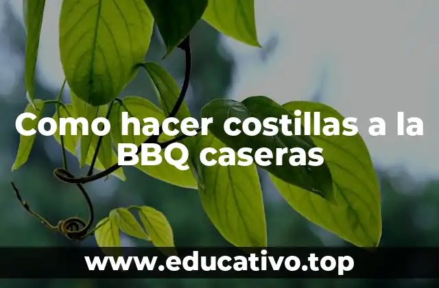 Como hacer costillas a la BBQ caseras