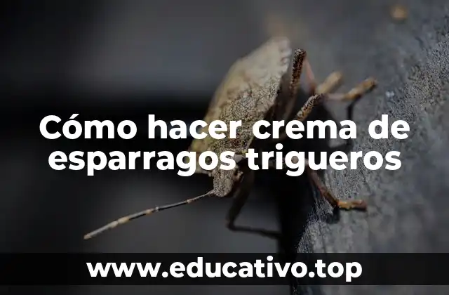 Cómo hacer crema de esparragos trigueros