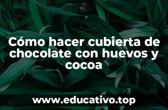 Cómo hacer cubierta de chocolate con huevos y cocoa
