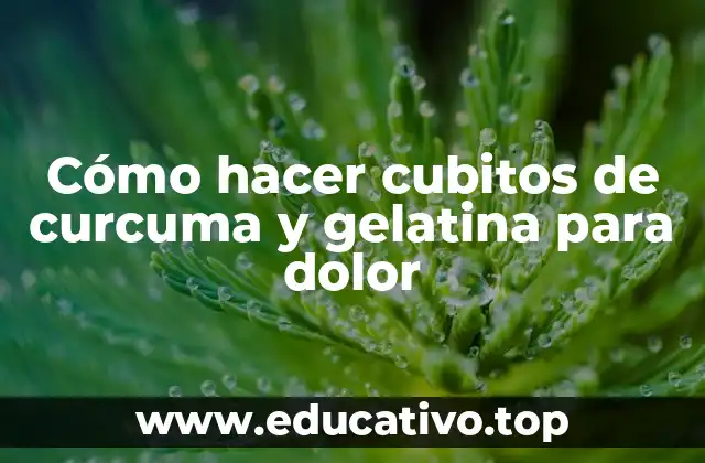 Cómo hacer cubitos de curcuma y gelatina para dolor