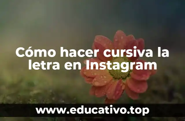Cómo hacer cursiva la letra en Instagram