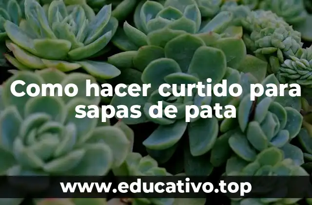 Como hacer curtido para sapas de pata