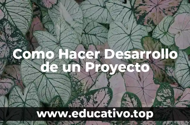 Como Hacer Desarrollo de un Proyecto