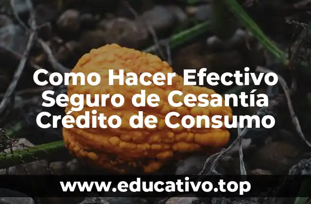 Como Hacer Efectivo Seguro de Cesantía Crédito de Consumo