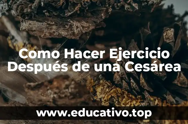 Como Hacer Ejercicio Después de una Cesárea